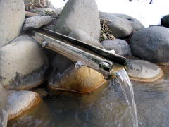 IV