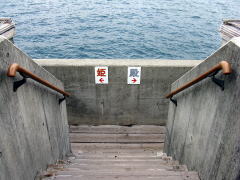 IVCւ̊Ki