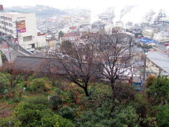 IVC̒