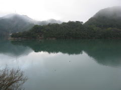 䂩